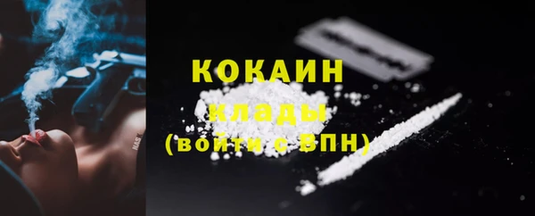 PSILOCYBIN Анива