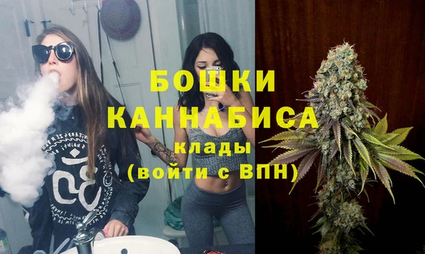 твердый Карпинск