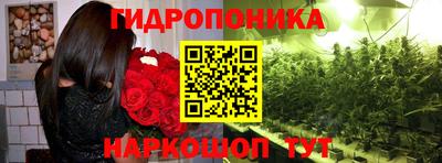 ГАЛЛЮЦИНОГЕННЫЕ ГРИБЫ Заводоуковск
