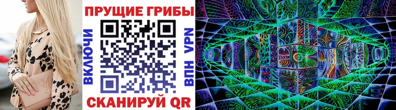 Псилоцибиновые грибы Psilocybine cubensis  Мичуринск 